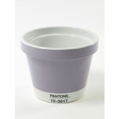 POT XXL VASO PANTONE Miglior Prezzo