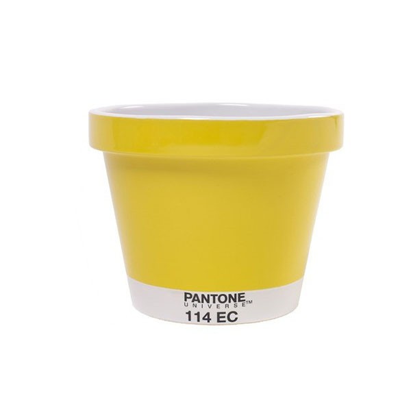 POT MINI MINI VASO PANTONE Miglior Prezzo