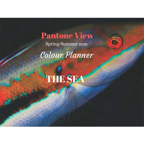 PANTONE VIEW COLOUR PLANNER SS 2020 Miglior Prezzo