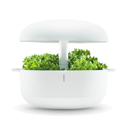 PLANTUI 6 SMART GARDEN Miglior Prezzo