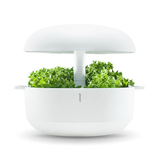 PLANTUI 6 SMART GARDEN Miglior Prezzo