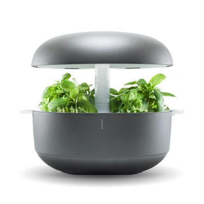 PLANTUI 6 SMART GARDEN Miglior Prezzo