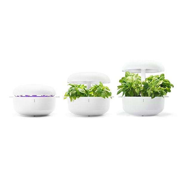 PLANTUI 6 SMART GARDEN Miglior Prezzo