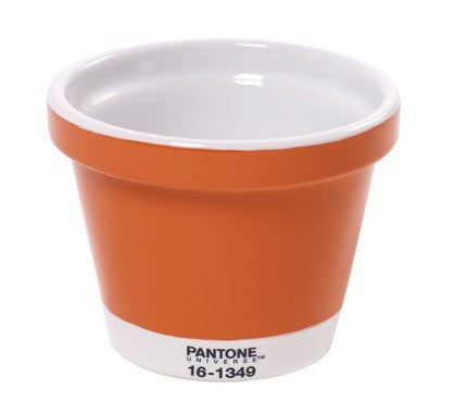 POT X-SMALL VASO PANTONE Miglior Prezzo