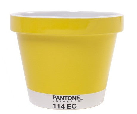 POT SMALL VASO PANTONE Miglior Prezzo