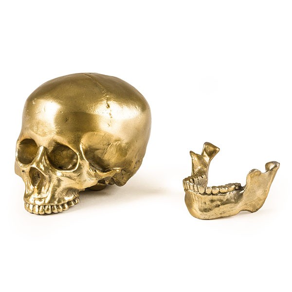 SELETTI WUNDERKRAMMER HUMAN SKULL Miglior Prezzo