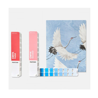 PANTONE CMYK Coated & Uncoated Set Miglior Prezzo