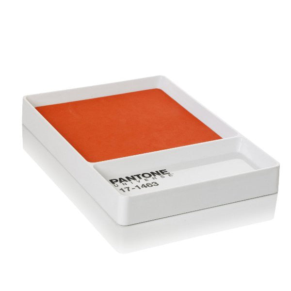 PANTONE UNIVERSE ORGANIZER CHIAVI E OGGETTI Miglior Prezzo