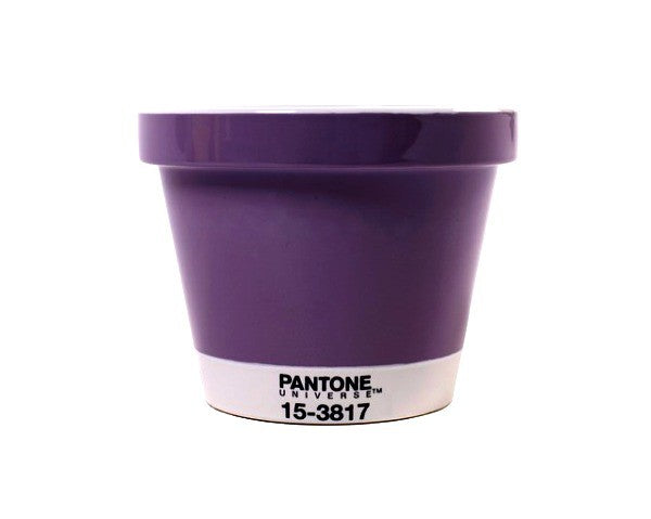 POT SMALL VASO PANTONE Miglior Prezzo