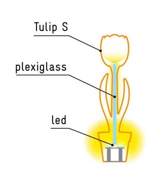 TULIP S LAMPADA PER INTERNI MYYOUR Miglior Prezzo