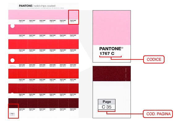 PANTONE PAGINA RICAMBIO SERIE PLUS Miglior Prezzo