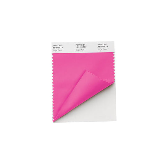 PANTONE NYLON BRIGHTS SWATCH CARDS (TN/NYLON)