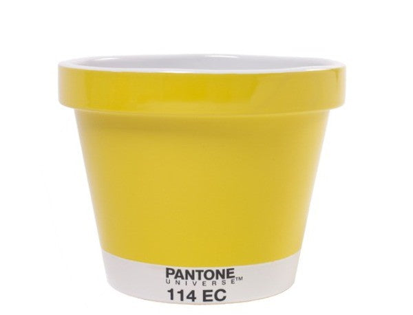 POT X-SMALL VASO PANTONE Miglior Prezzo