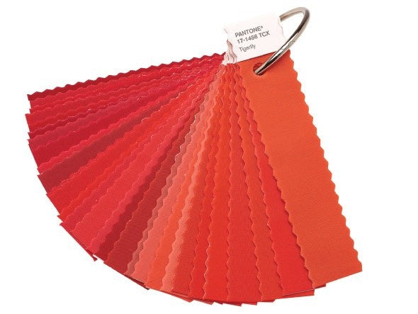 PANTONE FASHION + HOME COTTON SWATCH SET 2.100 COLORI Miglior Prezzo